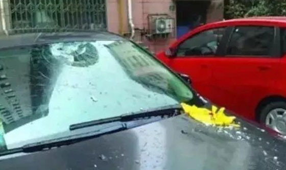 常德市康都物業(yè)服務有限公司,常德保安服務公司,保潔服務,綠化服務,搬運服務,墻外高空清洗服務 常德市康都物業(yè)服務有限公司,常德保安服務公司,保潔服務,綠化服務,搬運服務,墻外高空清洗服務