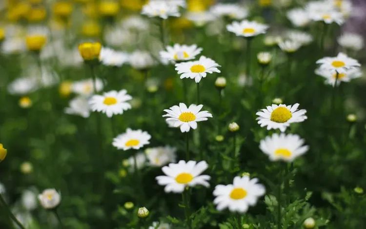 常德市康都物業(yè)服務有限公司,常德保安服務公司,保潔服務,墻外高空清洗服務