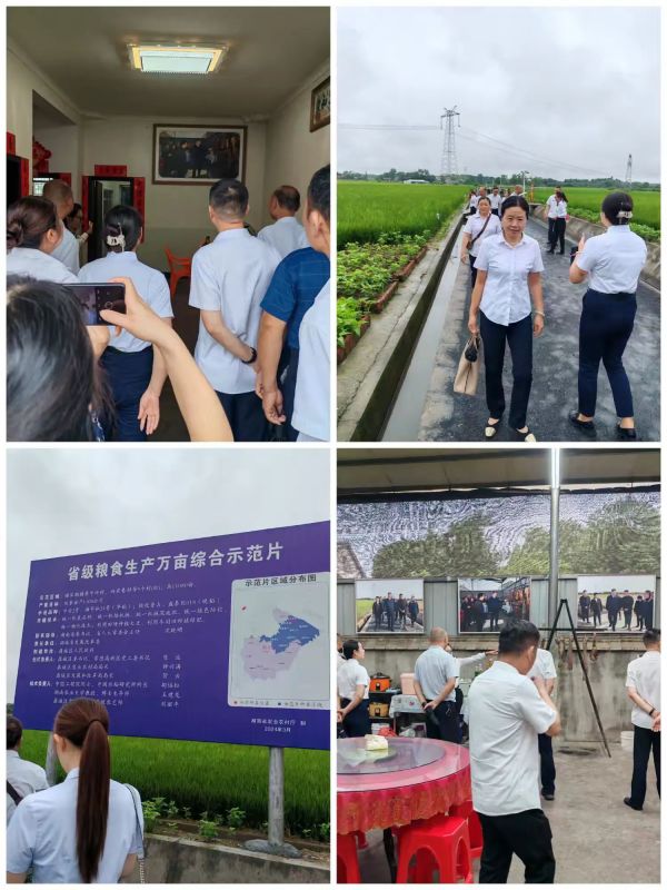 常德市康都物業(yè)服務(wù)有限公司,常德保安服務(wù)公司,保潔服務(wù),墻外高空清洗服務(wù)